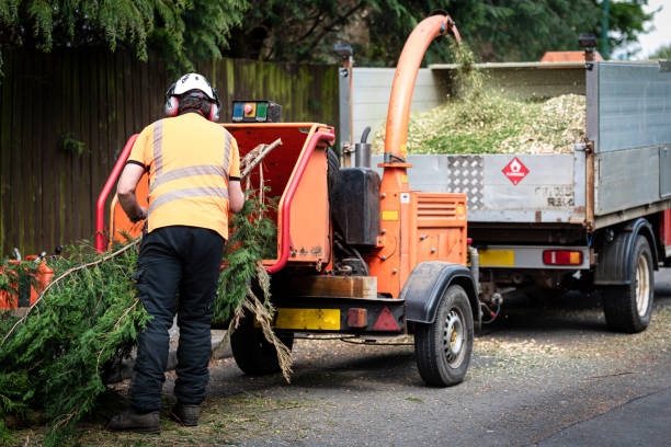 Best Commercial Tree Services  in Hillsville, VA